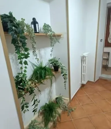 Casa Sulla Rocca Rocca Di Papa